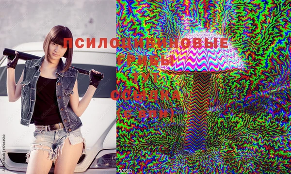 гашишное масло Балахна